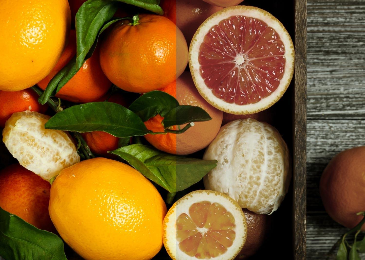 Photo of citrus fruits